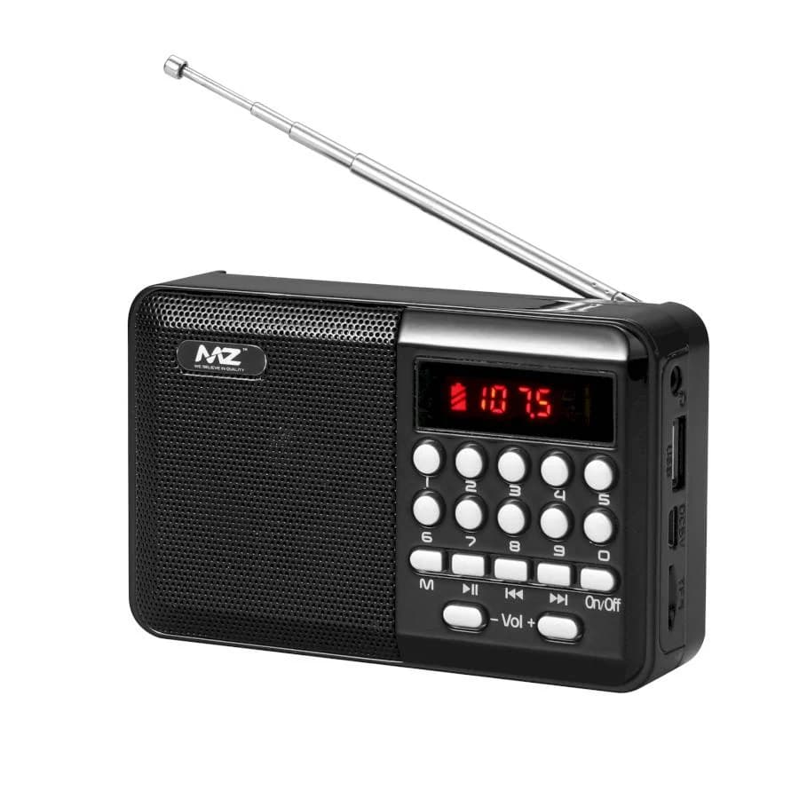 M34VP FM Radio Speaker