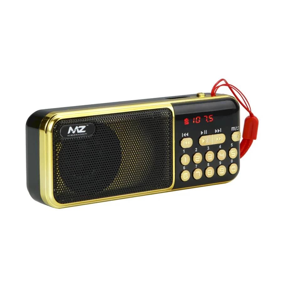 M35VP FM Radio Speaker