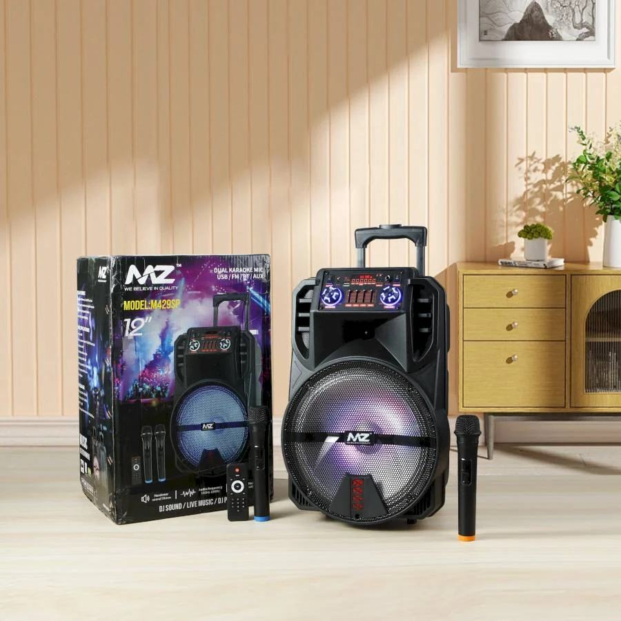 M429SP Trolley Speaker — image 2